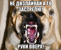 не дизлайкай а то застрелю! руки вверх!