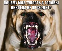 почему моя тупость с головы никогда не проходит? 