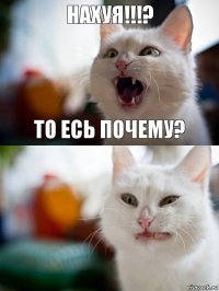 нахуя!!!? то есь почему?