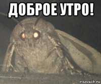 доброе утро! 