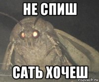 не спиш сать хочеш