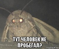  тут человек не пробегал?