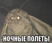  ночные полеты