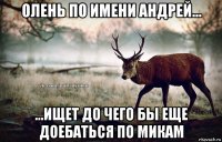 олень по имени андрей... ...ищет до чего бы еще доебаться по микам