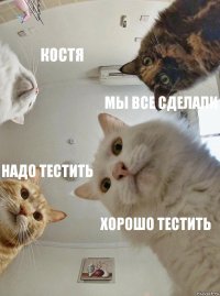 Костя Мы все сделали Надо тестить Хорошо тестить