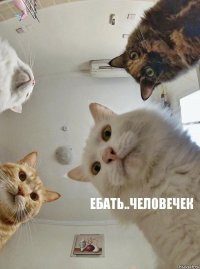    Ебать..человечек