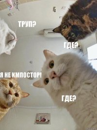 Труп? Где? Я не импостор! Где?