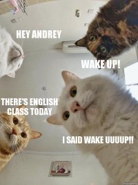 Hey Andrey Wake up! There's English class today I said WAKE UUUUP!!