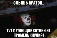 слышь браток.. тут летающие котики не промелькнули?!