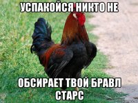 успакойся никто не обсирает твой бравл старс