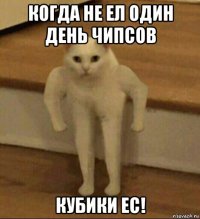 когда не ел один день чипсов кубики ес!