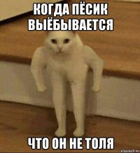 когда пёсик выёбывается что он не толя