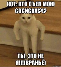 кот: кто съел мою сосиску!?!? ты: это не я!!!(враньё)