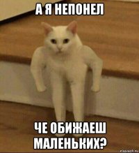 а я непонел че обижаеш маленьких?