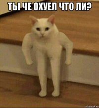 ты че охуел что ли? 