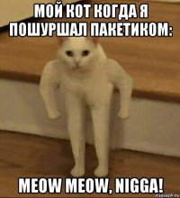 мой кот когда я пошуршал пакетиком: meow meow, nigga!