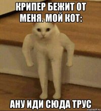 крипер бежит от меня. мой кот: ану иди сюда трус