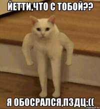 йетти,что с тобой?? я обосрался,пздц:((