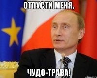 отпусти меня, чудо-трава!