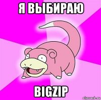 я выбираю bigzip