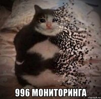  996 мониторинга