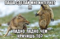 паша сделай мне интернет !!! ладно, ладно, чем кричишь-то?