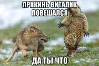 прикинь виталик повешался да ты что