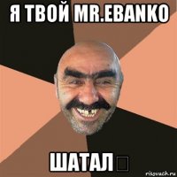 я твой mr.ebanko шатал！