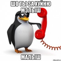 шо ты за хуйню мэлыш малыш