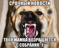 срочный новости твоя мамка возращяется с собрания. :(