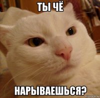 ты чё нарываешься?