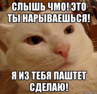 слышь чмо! это ты нарываешься! я из тебя паштет сделаю!