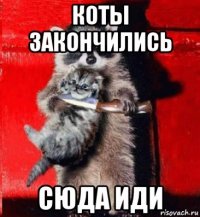 коты закончились сюда иди