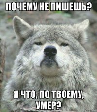 почему не пишешь? я что, по твоему, умер?