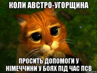 коли австро-угорщина просить допомоги у німеччини у боях під час псв