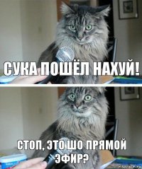 СУКА ПОШЁЛ НАХУЙ! СТОП, ЭТО ШО ПРЯМОЙ ЭФИР?