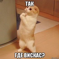 так где вискас?