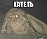 хатеть 