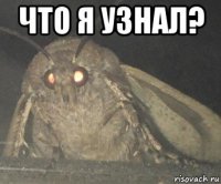 что я узнал? 