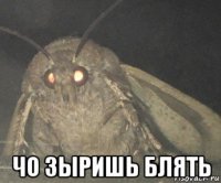  чо зыришь блять