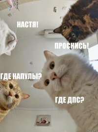 Настя! проснись! Где напулы? Где ДПС?