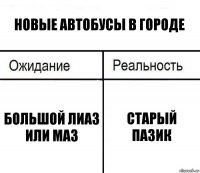 новые автобусы в городе большой лиаз или маз старый пазик