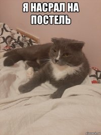 я насрал на постель 