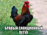  бравый санкционный петух