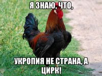 я знаю, что, укропия не страна, а цирк!