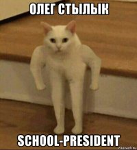 олег стылык school-president