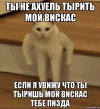 ты не ахуель тырить мой вискас если я увижу что ты тыришь мой вискас тебе пизда