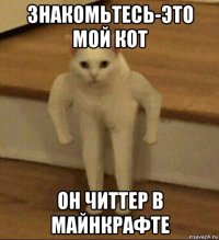 знакомьтесь-это мой кот он читтер в майнкрафте