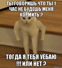 ты говоришь что ты 1 час не будешь меня кормить ? тогда я тебя уёбаю !!! или нет ?