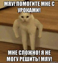 мяу! помогите мне с уроками! мне сложно! я не могу решить! мяу!